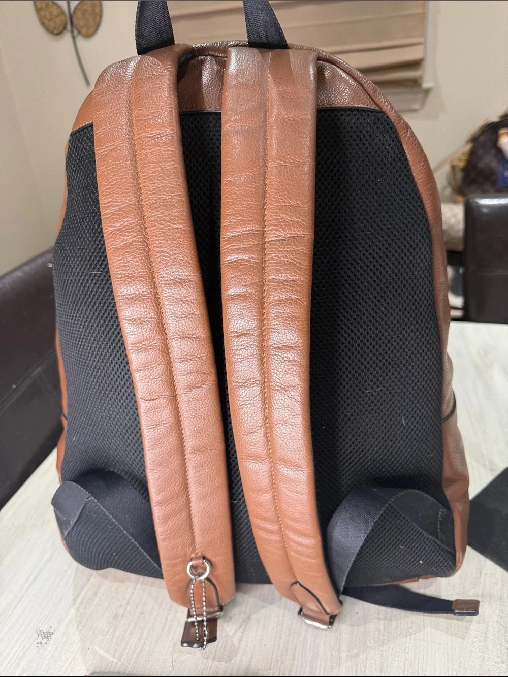 Coach Houston Men’s Brown Leather Backpack Set with Stripe Accent